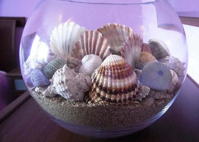 아파트 아파트먼트 소피스 플레이스 *