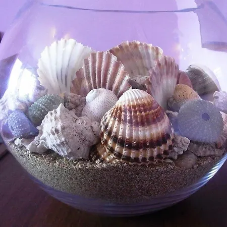 Apartament Sophie's Place *